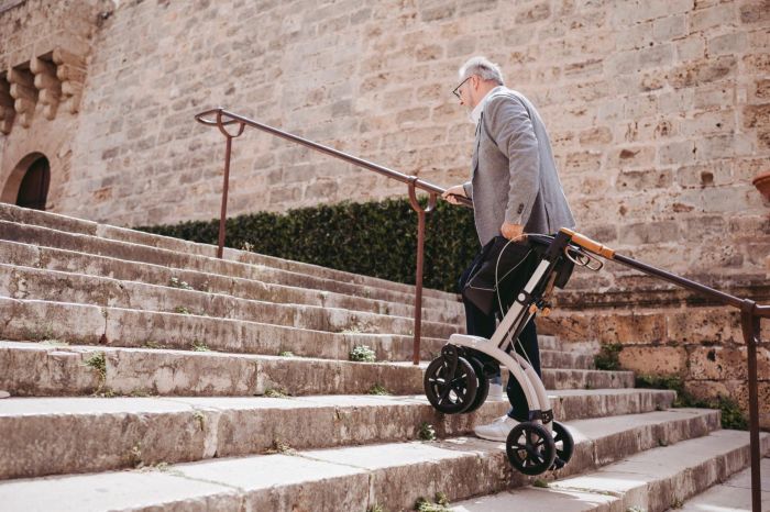 Saljol Alu walker