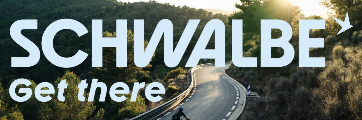 Schwalbe